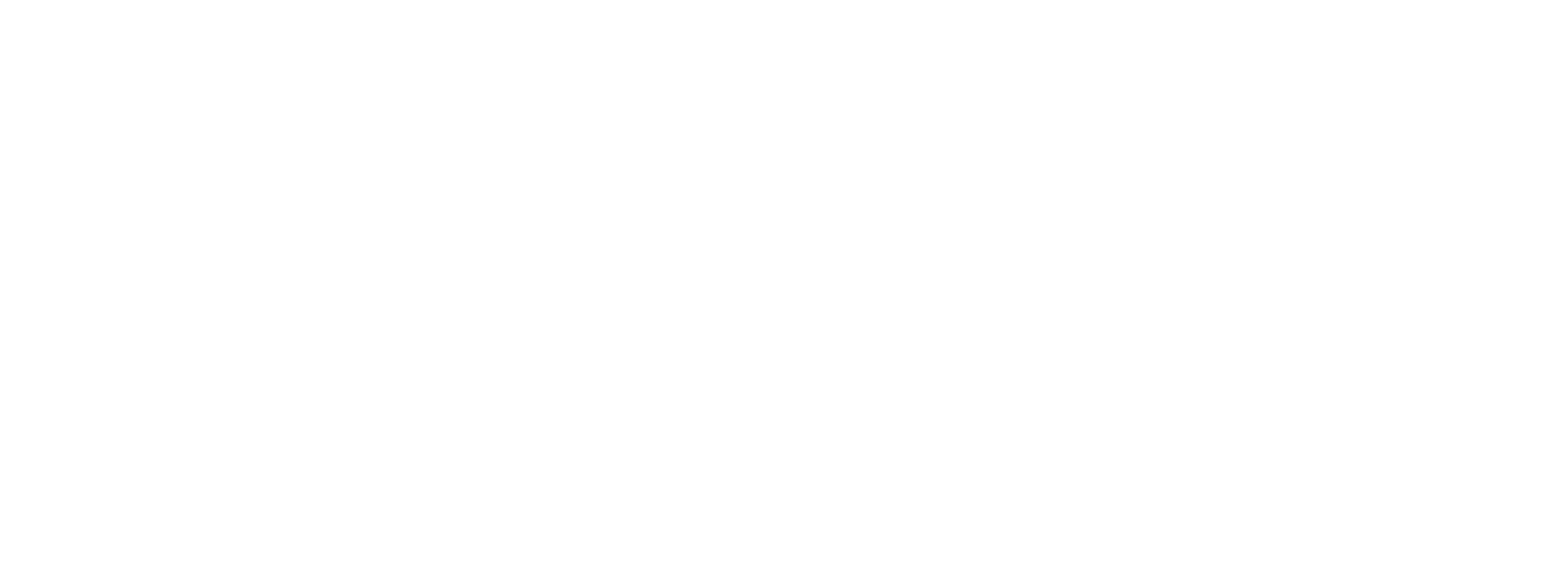 Promocash logo in white color